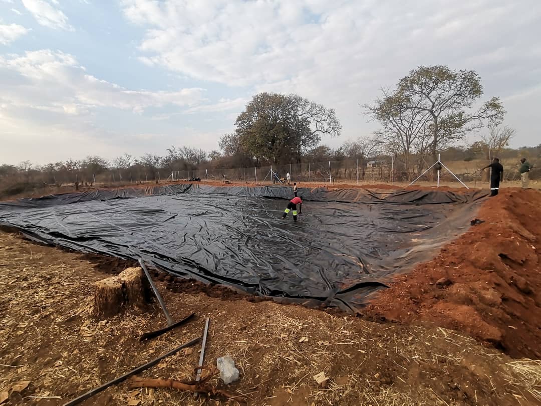 Fish Pond Construction